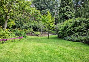 Optimiser l'expérience du jardin à Bazoches-les-Gallerandes